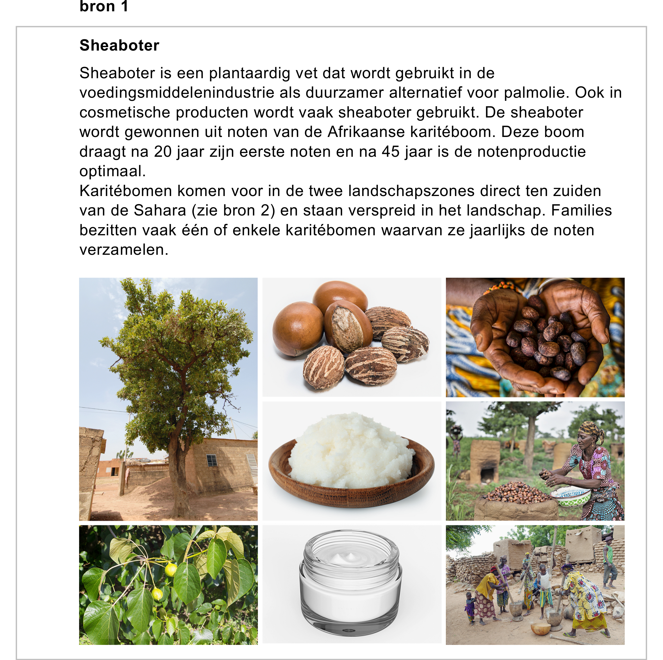 Bronafbeelding bij vraag 1 (1)