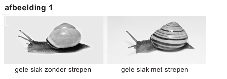 Bronafbeelding bij vraag 10 (1)