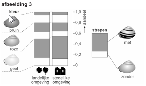 Bronafbeelding bij vraag 11