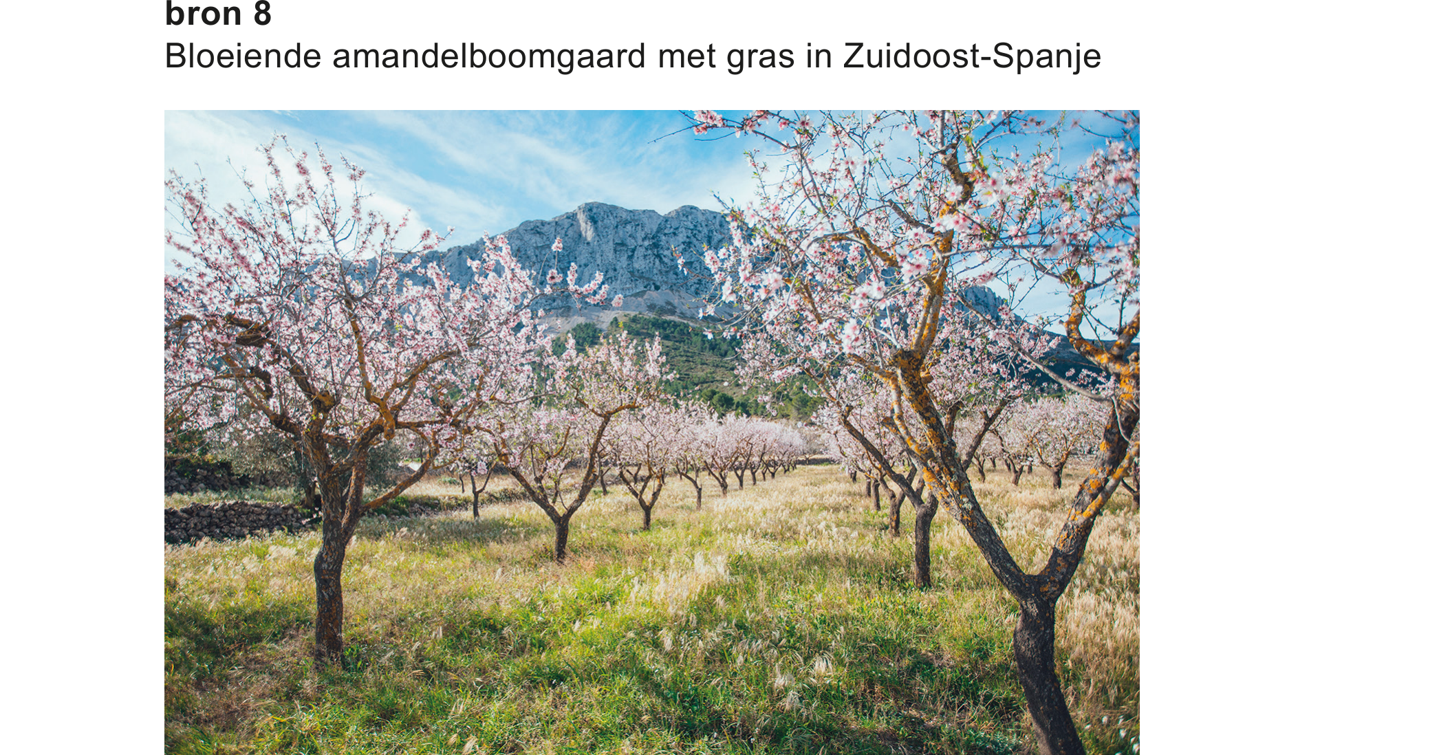 Bronafbeelding bij vraag 7