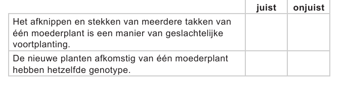 Tabel vraag 13