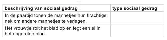 Tabel vraag 4