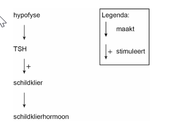 Bronafbeelding bij vraag 30