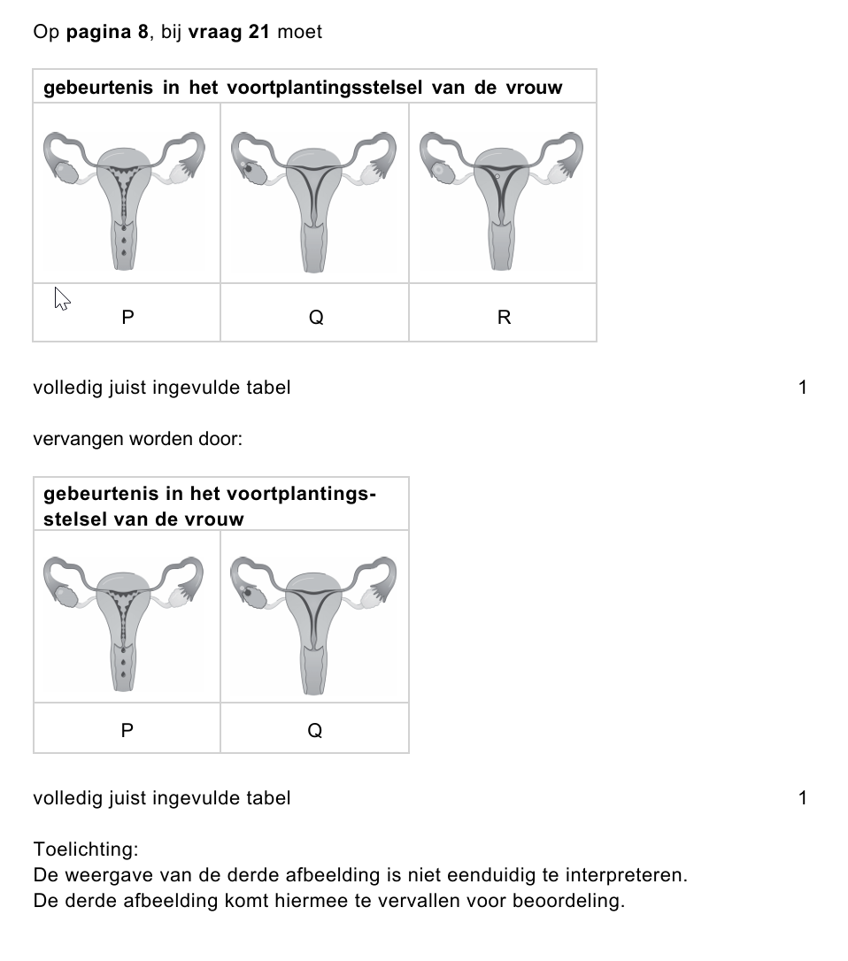 Afbeelding P correct