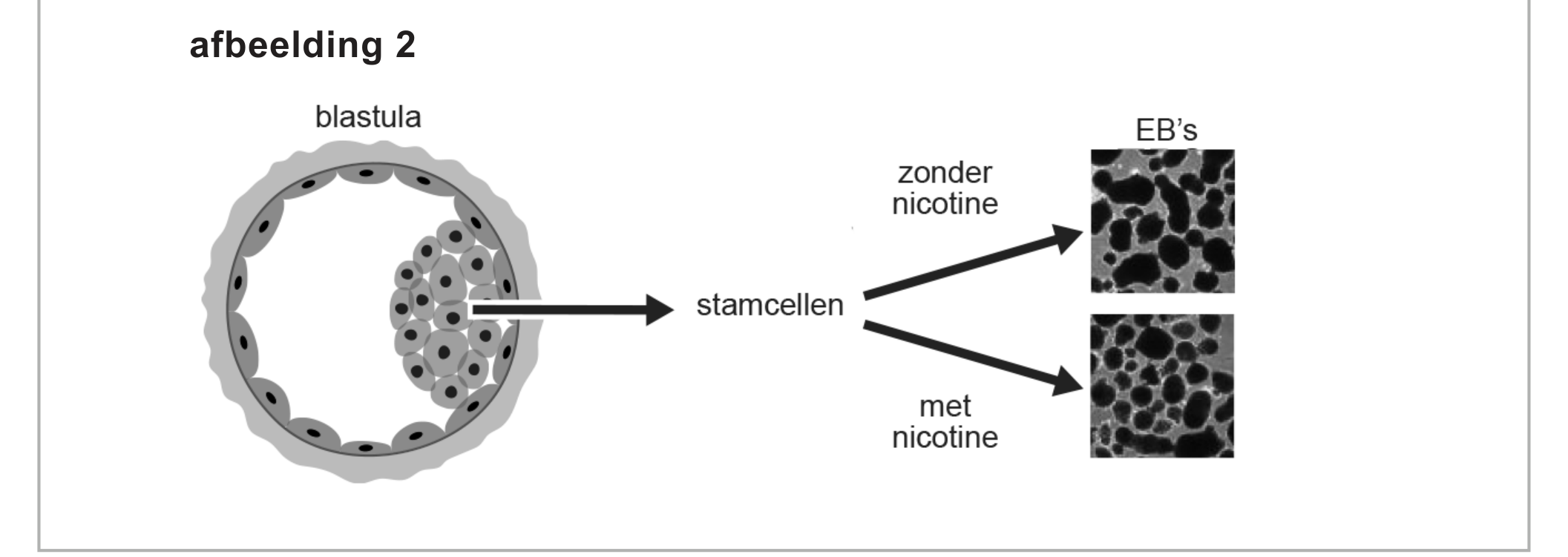 Bronafbeelding bij vraag 5
