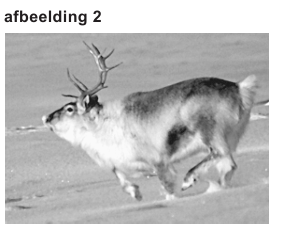 Bronafbeelding bij vraag 10 (2)