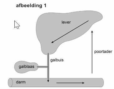 Bronafbeelding bij vraag 21